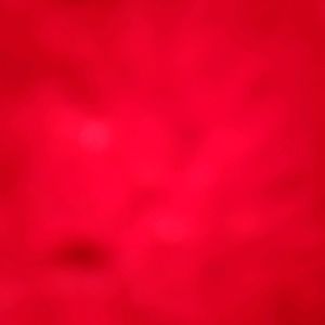 Meet your Posher, Jada